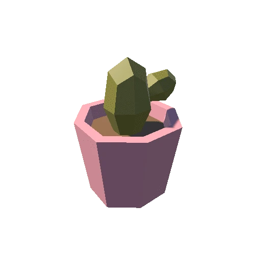 Cactus_4