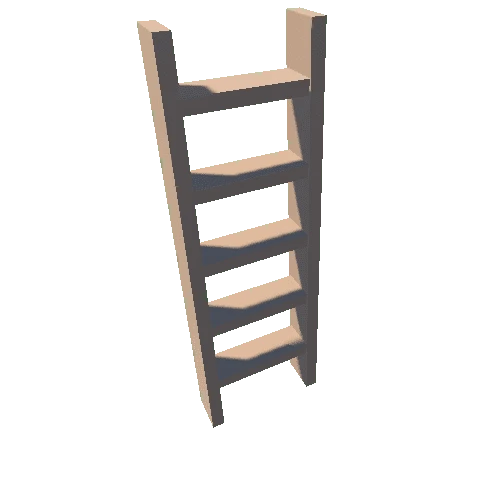 Ladder