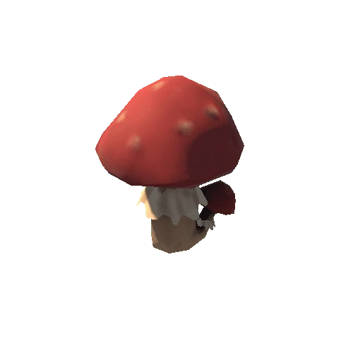 Mushroom04