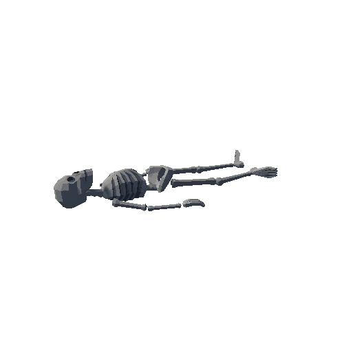 Skeleton_Laying