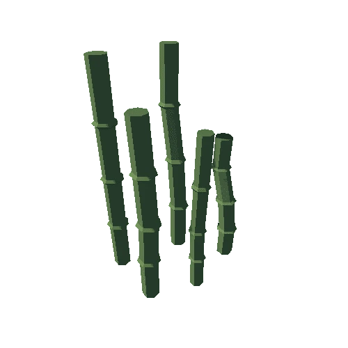 Bamboo_1