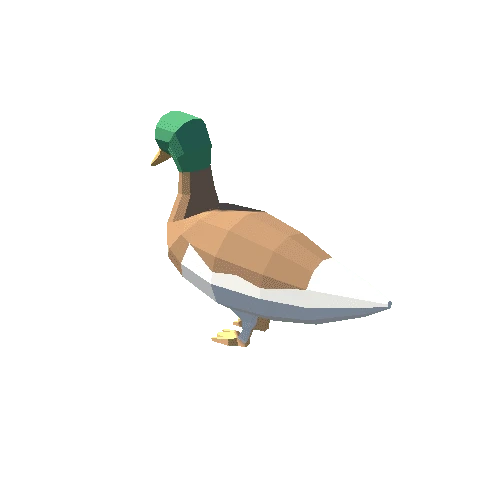 Duck