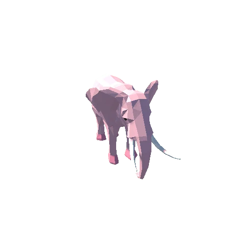 animal.008