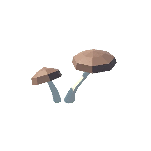 mushroom.008