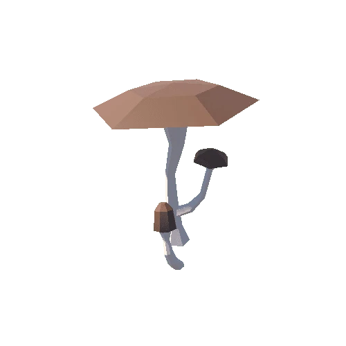 mushroom.014