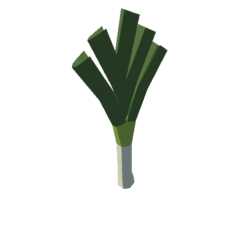 leek