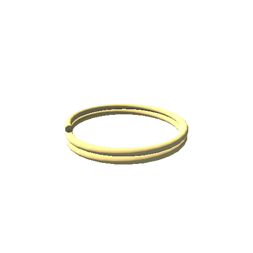 Ring01