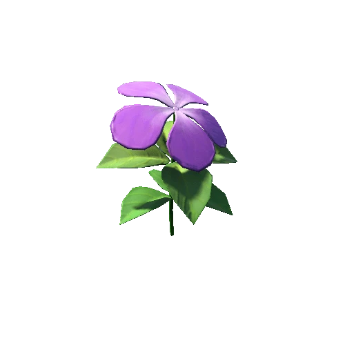 PeriwinkleFlowerMesh_v1