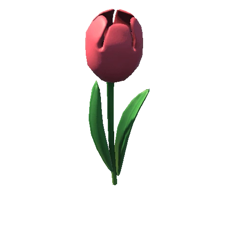 TulipFlowerMesh_v1_red