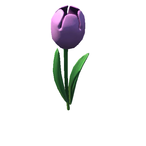 TulipFlowerMesh_v1_violet