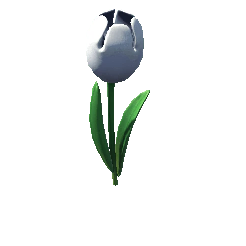 TulipFlowerMesh_v1_white