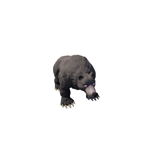 BearCorrupted_1