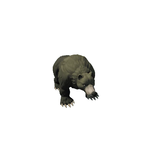 Bear_6