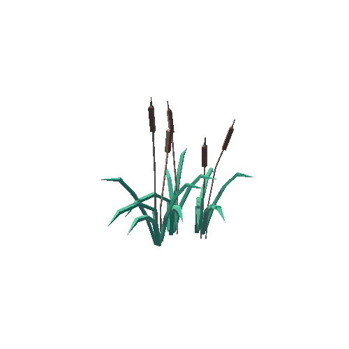 plant.016