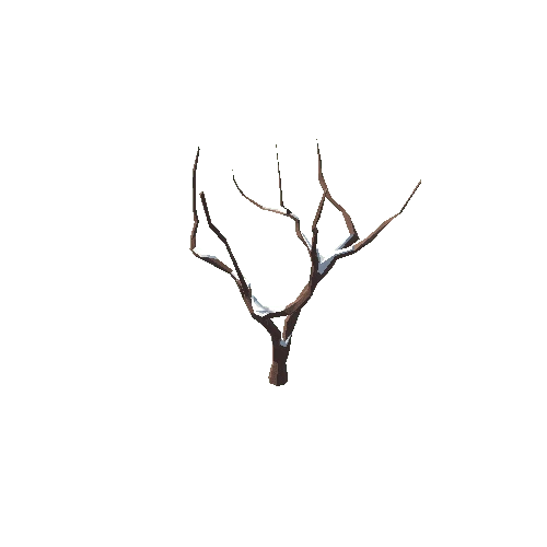 tree.004