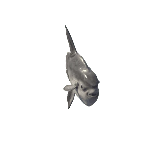 Sunfish_Animation