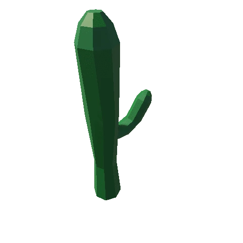 Cactus_2