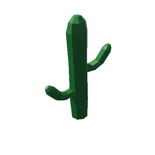 Cactus_3