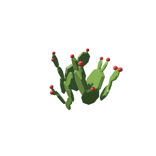 Cactus_4