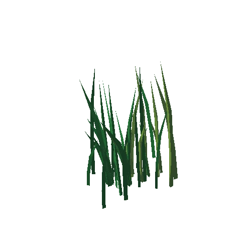 Grass_6