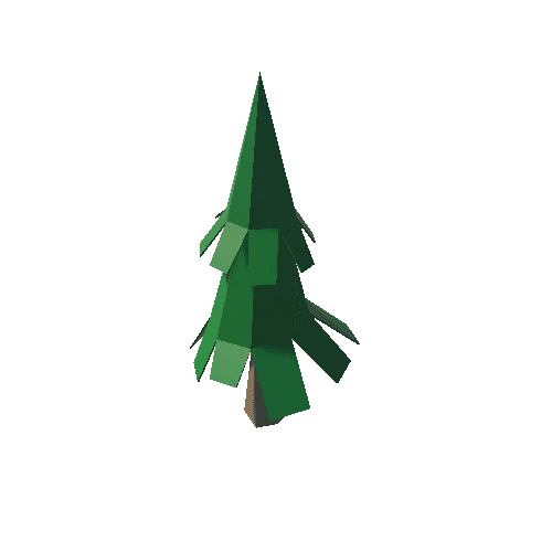 Spruce_1