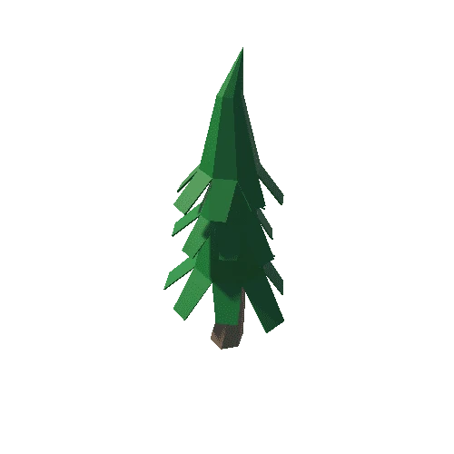 Spruce_2