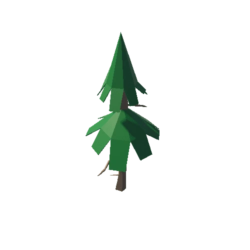 Spruce_5