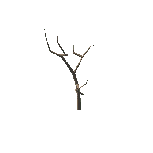 Tree_3