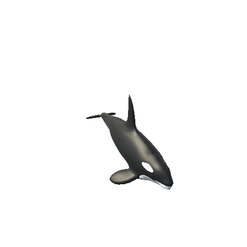 Orcas