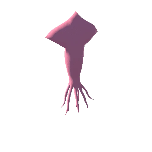 squid