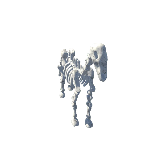 horse_0