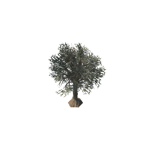 Tree_02