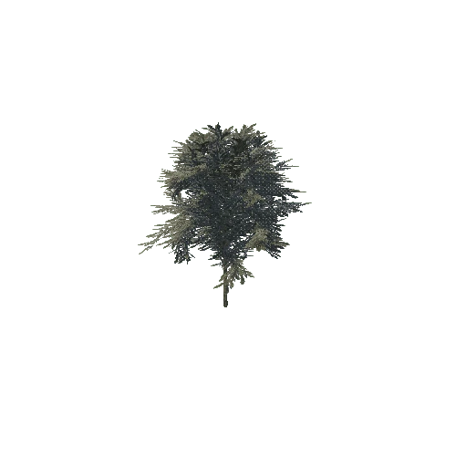 Tree_03