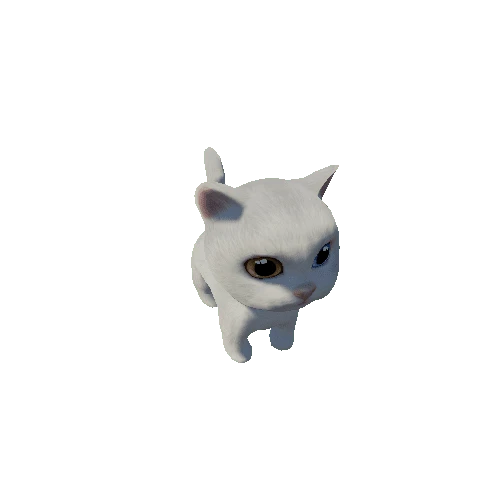 White_Cat_odd