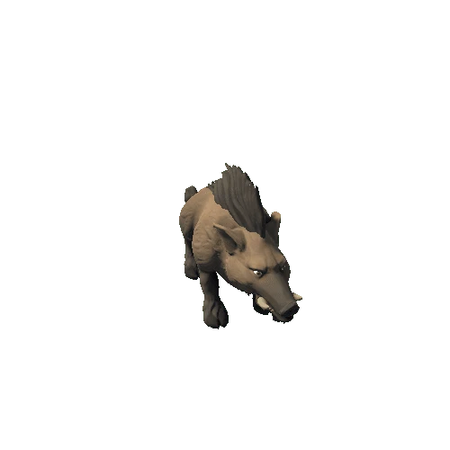 Boar_1