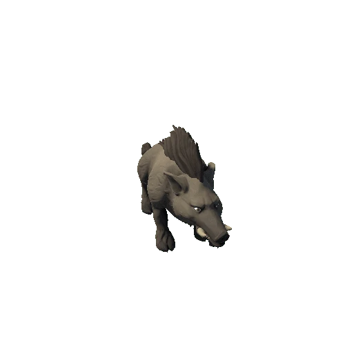 Boar_5