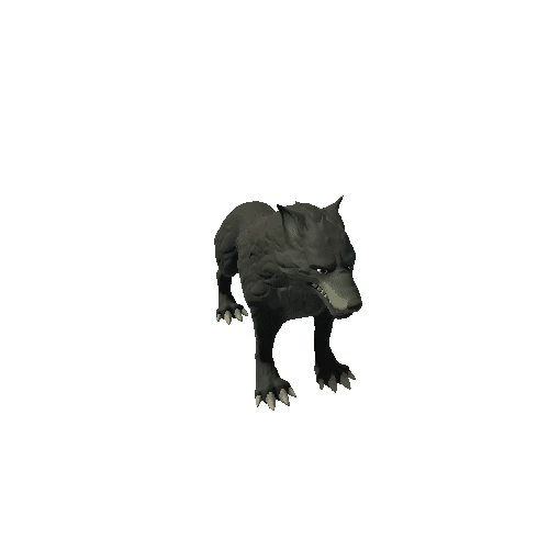 Wolf_6