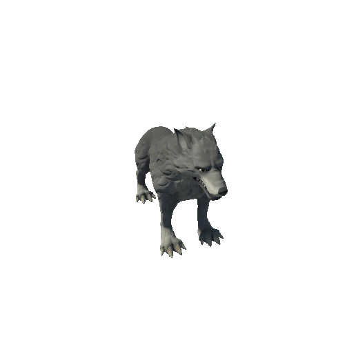 Wolf_8