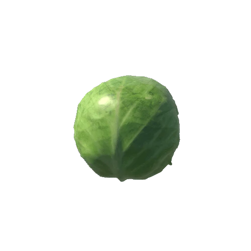 SM_Cabbage