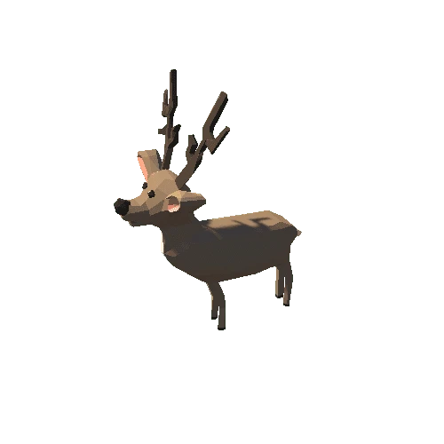 Deer01