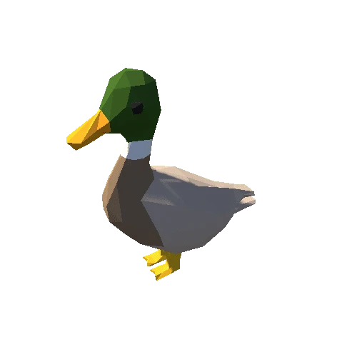 Duck01