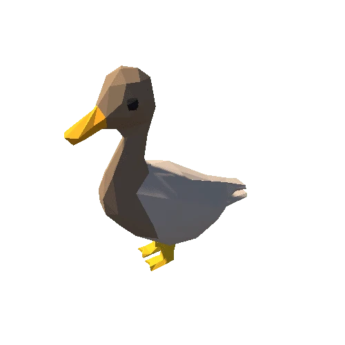 Duck02