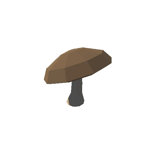 Mushroom04