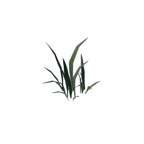 SM_Grass01