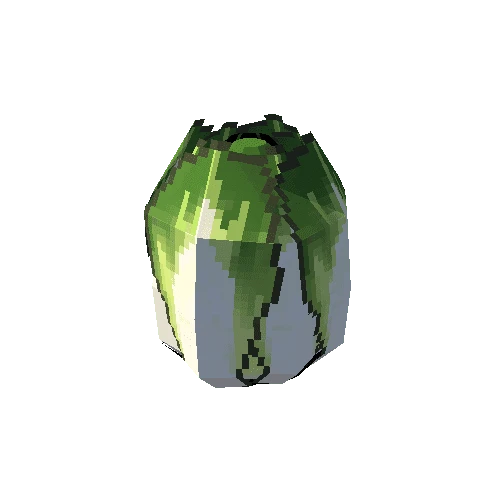 Cabbage