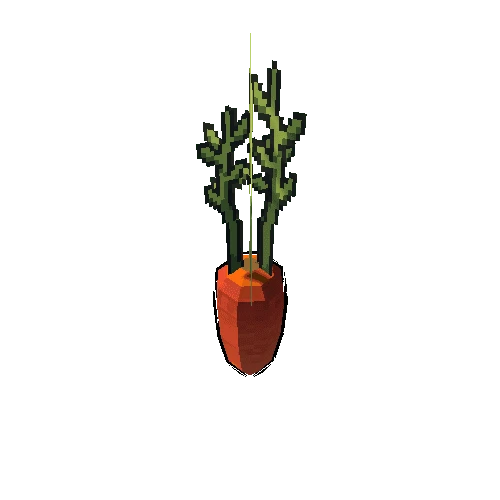 Carrot