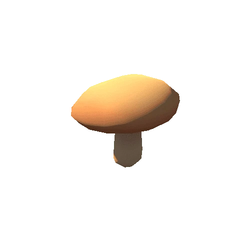 mushroom_03