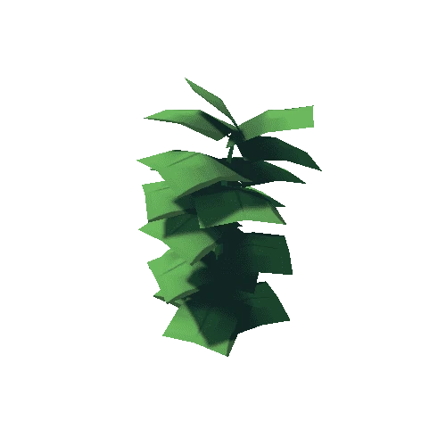 plant