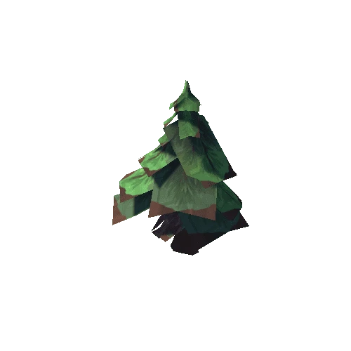 tree_Fir_02