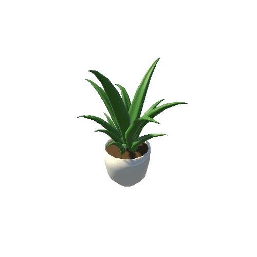 Plant_1